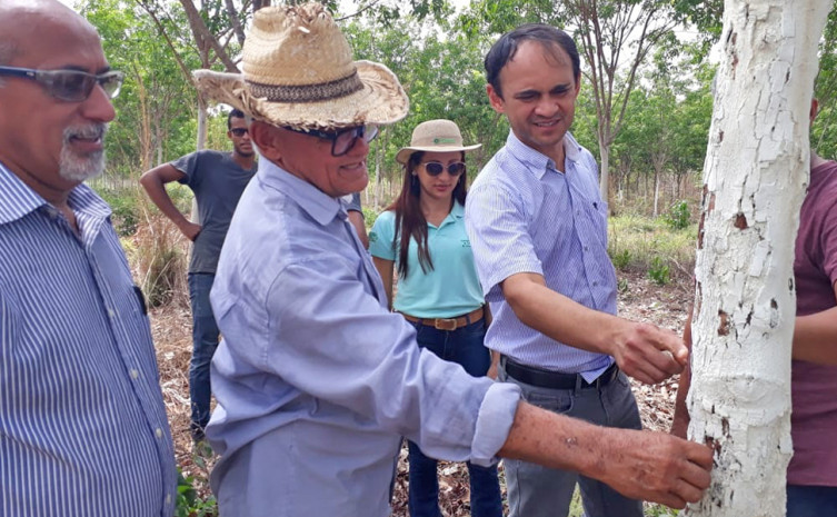  Família do agricultor João Paulo Alves Barroso, de 63 anos, há dois anos recebe assistência técnica do Ruraltins, proporcionando mudanças na condução da lavoura de seringueira.