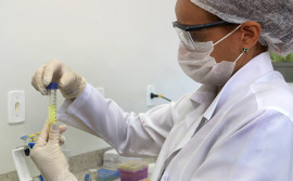 Estudo científico visa prevenção da Leishmaniose Visceral em caso de doação de sangue