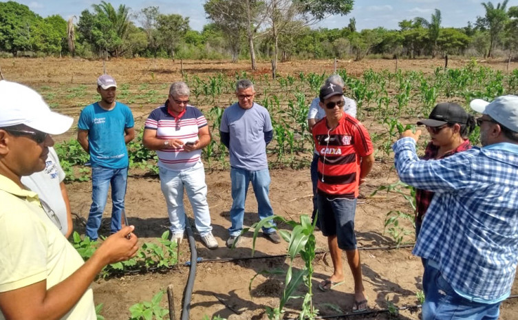 O Convênio Oportunidade tem como objetivo fortalecer os serviços de assistência técnica e extensão rural