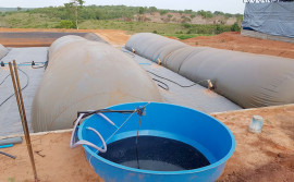Governo do Estado promove seminário sobre práticas sustentáveis de inserção do biodigestor na pecuária tocantinense