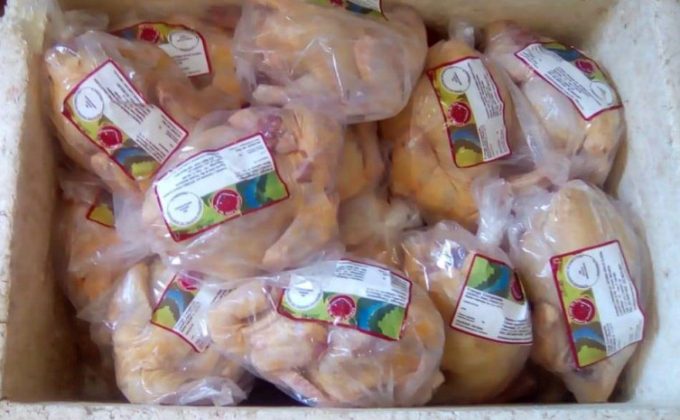Produtos são comercializados na feira da cidade, e também fornecidos aos Programa Compra Direta e Programa Nacional de Alimentação Escolar (Pnae)