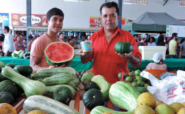 Governo e parceiros promovem Feira e Encontro da Agricultura Familiar de Combinado e região