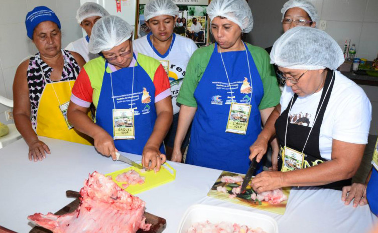 Minicurso será ministrado pela bióloga e extensionista do Ruraltins, Cássia Bento Sobreira  