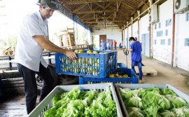 Encontro oferece orientações sobre Programa de Aquisição de Alimentos aos agricultores de Paraíso