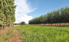 Estão abertas inscrições para seminário estadual de Agricultura de Baixa Emissão de Carbono