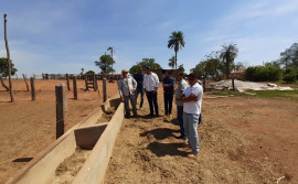 Propriedade assistida pelo Convênio de Assistência Técnica para médios produtores alcança bons resultados na produção bovina