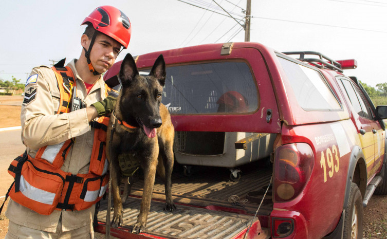 Certificação ocorreu em São Luís – MA, nesta quarta-feira, 13, durante evento com bombeiros militares de todo o país; Sky é o primeiro cão certificado na região Norte do Brasil
