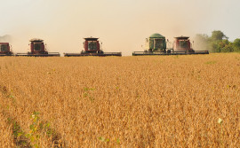 Produto Interno Bruto tocantinense atinge R$ 34,10 bilhões