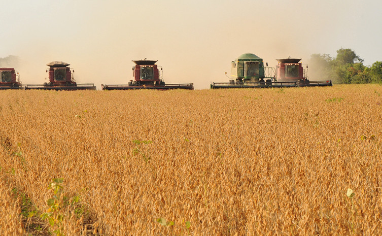 A Agropecuária obteve a maior variação em volume entre os três grupos de atividades, 26,7%