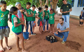 Alunos do Pátria Amada Mirim aprendem sobre produção de mudas e produzem material para exposição em feira de ciências