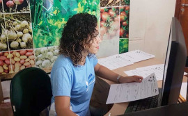 Técnicos do Ruraltins promovem mutirão para alinhar ações do Programa Quintal Verde