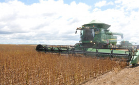 Valor Bruto da Produção Agropecuária do Tocantins deste ano é estimado em mais de R$ 7,6 bilhões
