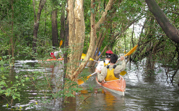 A região do chamado Cantão abriga rios, florestas e uma rica biodiversidade 