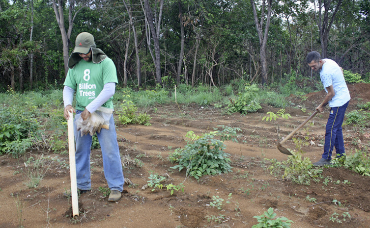 Parceria vai possibilitar o plantio de 40 mil árvores em distintas regiões do Tocantins.jpg