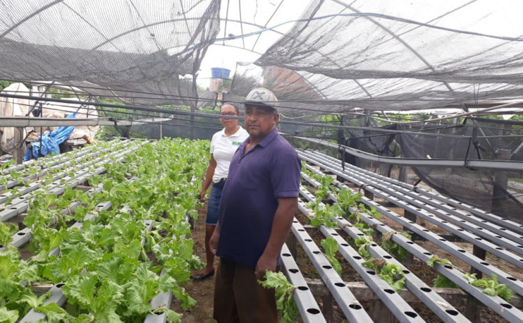 O   horticultor José Almir conduz, dentro do Inovação, uma Unidade de Referência Tecnológica (URT), voltada para a hidroponia