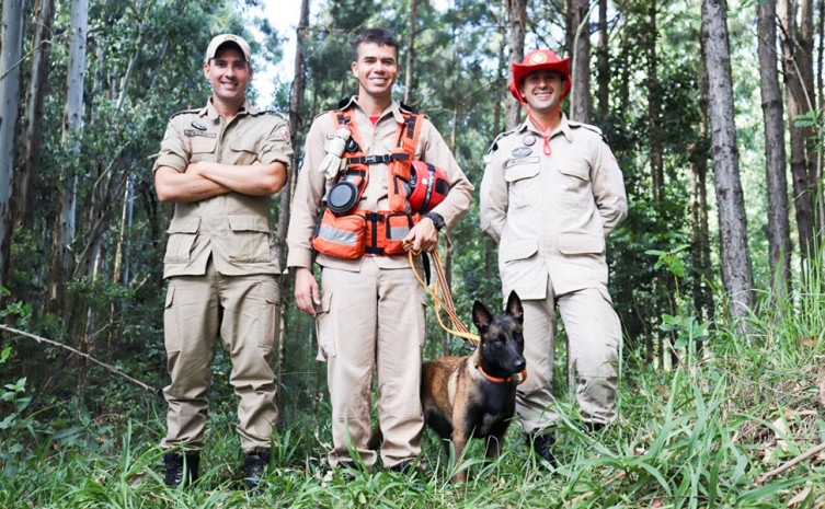 A equipe do Corpo de Bombeiros Militar do Tocantins, com o soldado Gusmão (E), sargento Mollo (C), soldado Velasco (D) e a cadela Sky à frente
