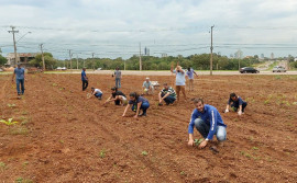 Servidores realizam plantio de mudas nativas e frutíferas em área adotada pelo Ruraltins