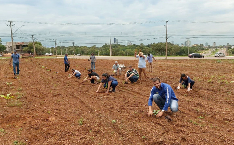 Servidores do Ruraltins realizam plantio de mudas nativas e frutíferas em área adotada