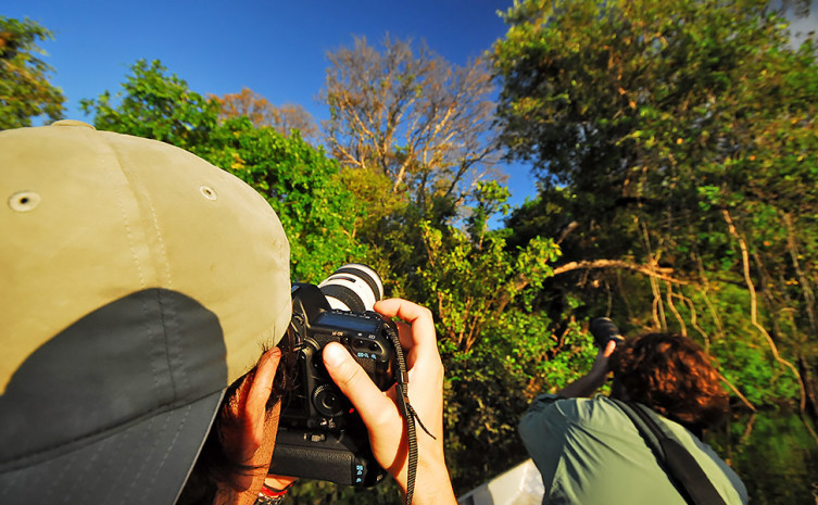 A observação de aves poderá atrair turistas internacionais ao Tocantins