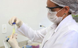 Inscrições abertas para Bolsas de Produtividade em Pesquisa do Governo do Tocantins