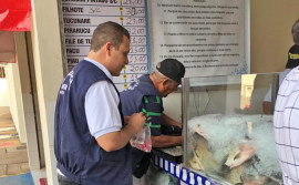 Agência de Metrologia dá dicas para compras de presentes e produtos da ceia natalina