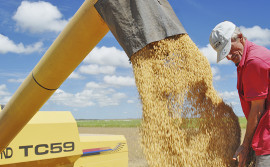Produção sustentável e tecnificação   impulsionam o desenvolvimento  do setor agropecuário tocantinense