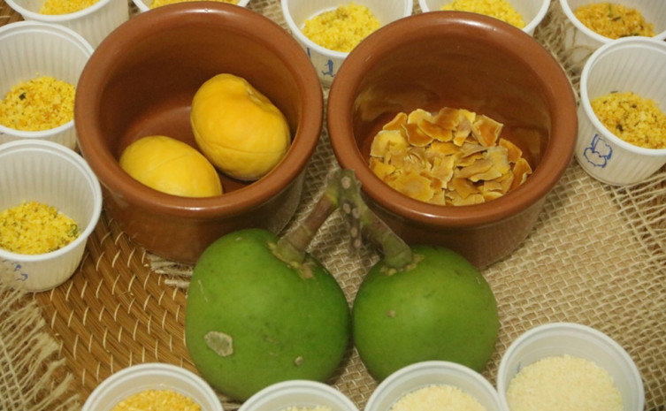 Produtos da farinha de mandioca que foram apresentados