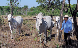 Governo atende produtores com projetos de crédito rural em 11 municípios da região sudeste do Tocantins