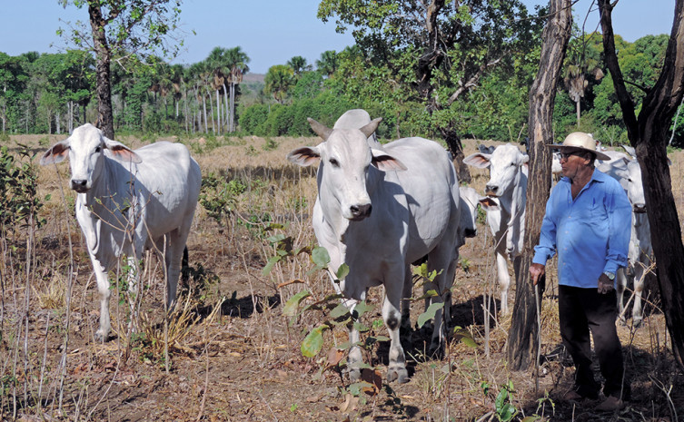 Agricultores de 11 municípios, da região sudeste do Tocantins, recebem o Mutirão do Agrocrédito