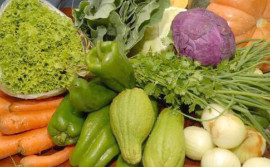 Agricultores recebem primeiras declarações para venda de produtos orgânicos no Tocantins