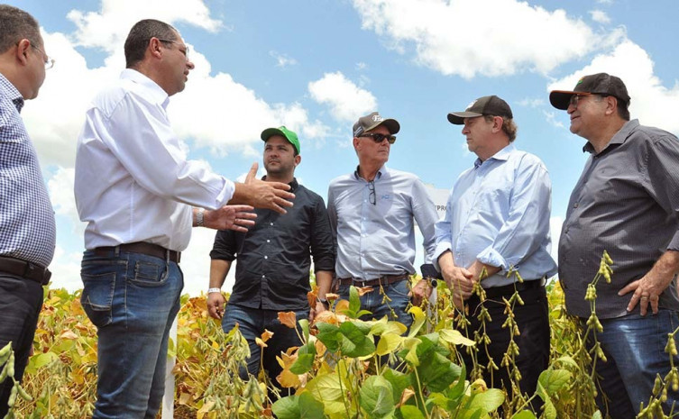 Evento teve como objetivo a formação técnica dos associados, produtores e agrônomos de Paraíso e região