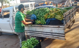 Regional do Ruraltins em Paraíso conta com nova Central de Recebimento do Programa de Aquisição de Alimentos