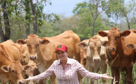 Agronegócio tocantinense conta com a persistência e a determinação de mulheres rurais de sucesso