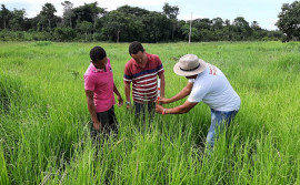 Governo viabiliza mais de R$ 12 milhões em projetos de crédito rural no sudeste do Estado
