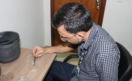 Pesquisadores estudam o mosquito Aedes Aegypti para evitar a propagação de novos vírus no Estado