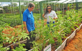 Agricultura e UniCatólica realizam encontro para profissionais mulheres do agronegócio