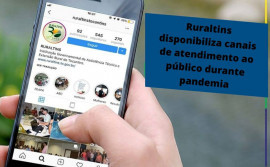 Ruraltins disponibiliza canais de atendimento ao público durante pandemia