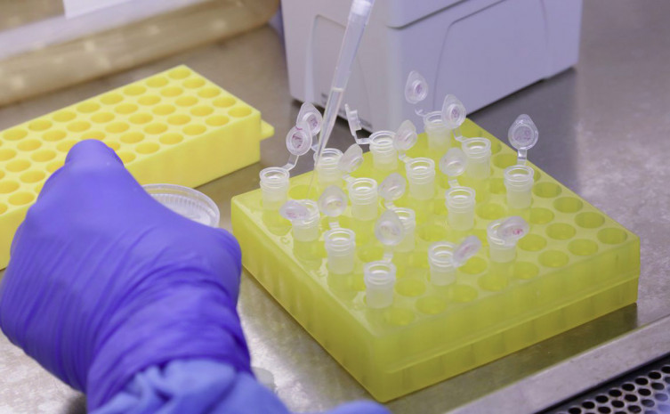 Imagem Laboratorio Covid 19.jpg