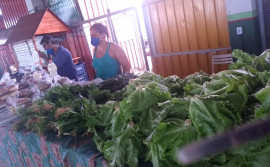 Auxílio emergencial beneficiará agricultura familiar durante pandemia da Covid-19