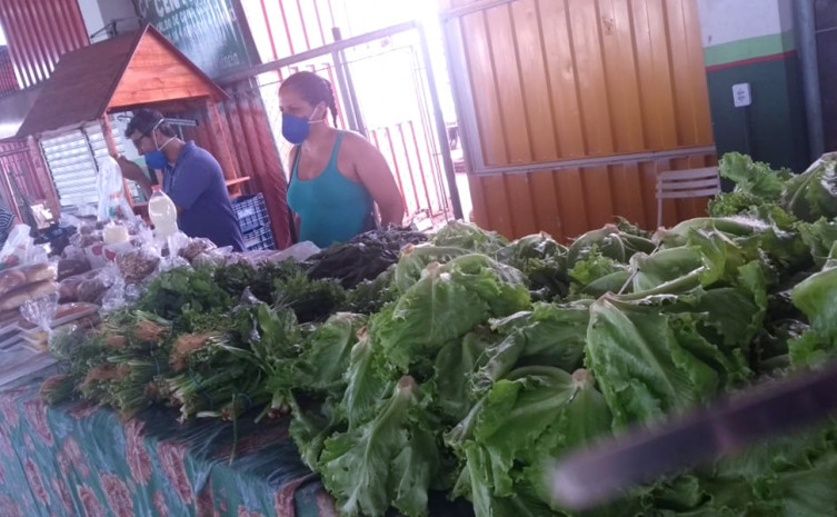 No Tocantins, estima-se que este auxílio poderá alcançar cerca de 50 mil agricultores familiares