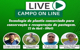 Ruraltins e Embrapa realizam primeira Live Campo On-line para abordar recuperação e conservação de pastagem