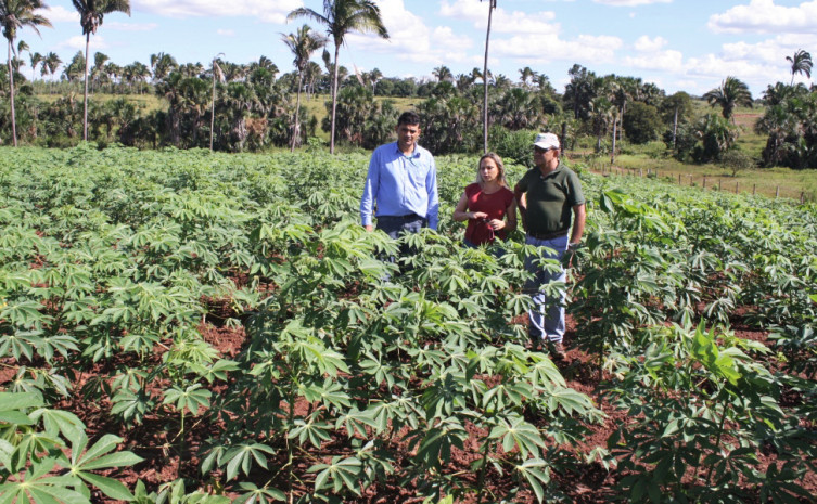 Ações visando o fortalecimento das cadeias produtivas estão presentes nas atividades diárias do Ruraltins