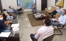 Agricultura e Embrapa unem estratégias inovadoras para a Agrotins virtual