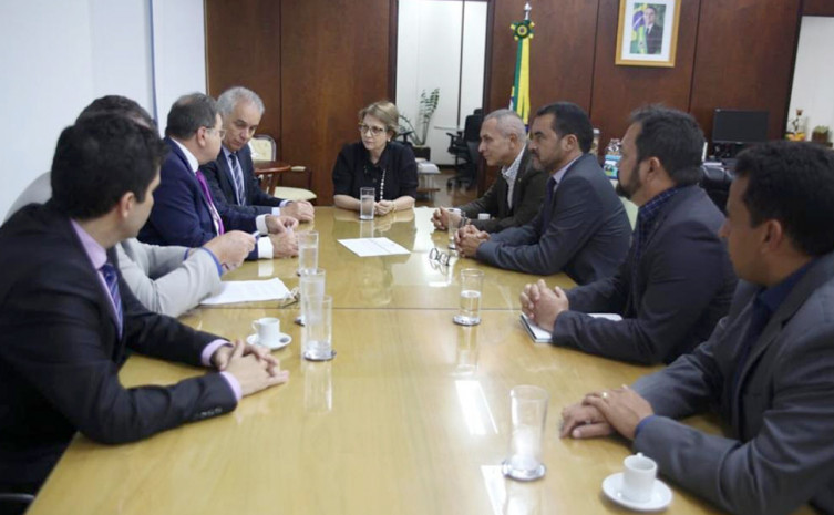 Secretário César Halum, chefe geral da Embrapa, Alexandre Freitas, e equipe de técnicos reúnem-se com a ministra da Agricultura, Tereza Cristina, em Brasília