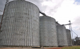 Safras recordes e capacidade estática para armazenamento destacam o Tocantins na produção de grãos