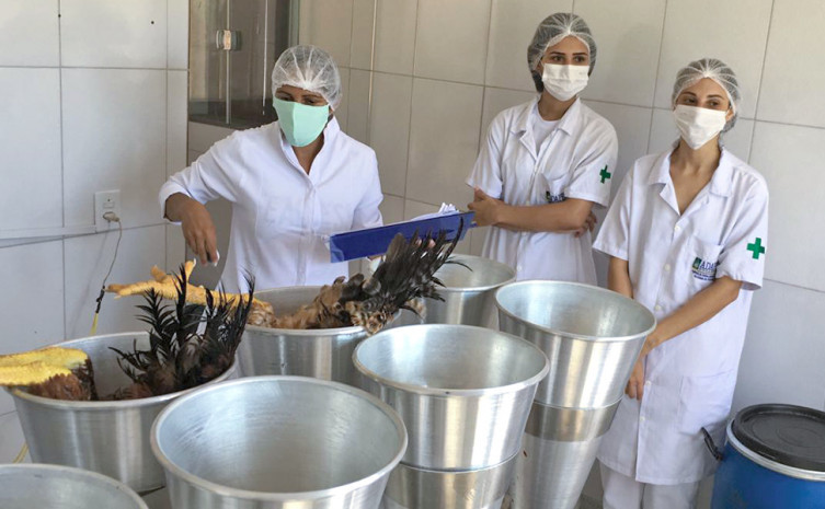 O estabelecimento vai abater 200 aves/dia da agricultura familiar que poderão ser comercializadas em todo o Tocantins