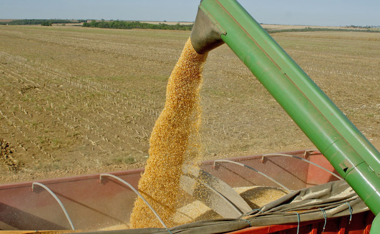 Potencial do agronegócio tem sido estudado cientificamente pelos pesquisadores do Estado