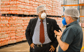 Na contramão da crise, empresas mantêm operações ativas com expectativa de crescimento e novas contratações