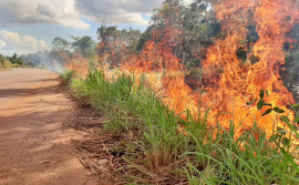 Governo do Tocantins e instituições parceiras promovem ação de prevenção a incêndio florestal na região do Taquaruçu Grande