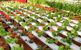 Mutirão do Agrocrédito possibilita a produtores do sudeste o acesso a linhas de credito rural